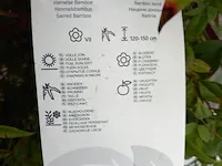 Combinatiekavel van kavel: 29 en 30 - afbeelding 8 van  16