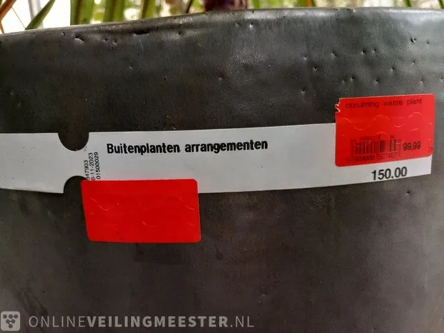 Combinatiekavel van kavel: 29 en 30 - afbeelding 12 van  16