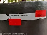 Combinatiekavel van kavel: 29 en 30 - afbeelding 12 van  16