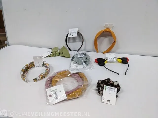 Combinatiekavel van kavel: 9 en 10 - afbeelding 2 van  19