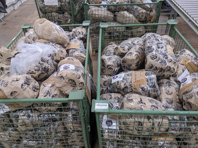 Combinatiekavel van kavel: 9 t/m 11 - afbeelding 21 van  25