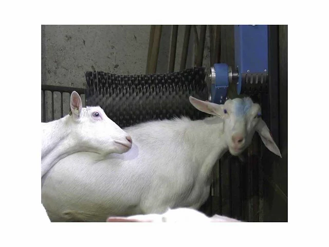Comfy cosy goat geitenborstel (2x) - afbeelding 2 van  5