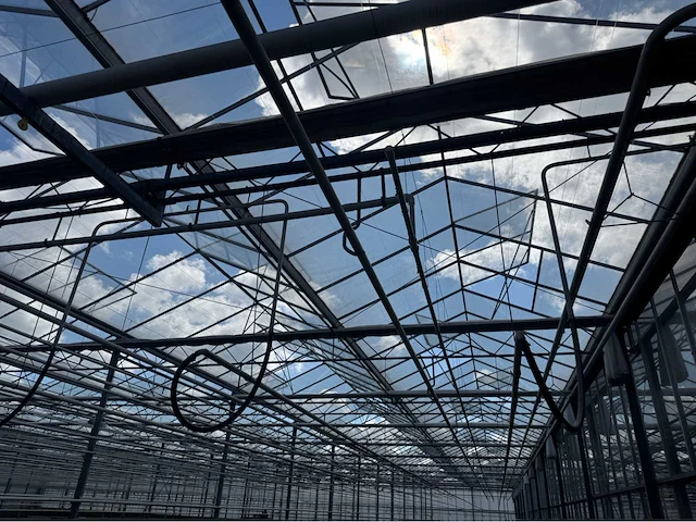 Compleet tuinbouw bedrijf met installaties (12.411 m2) - afbeelding 2 van  59