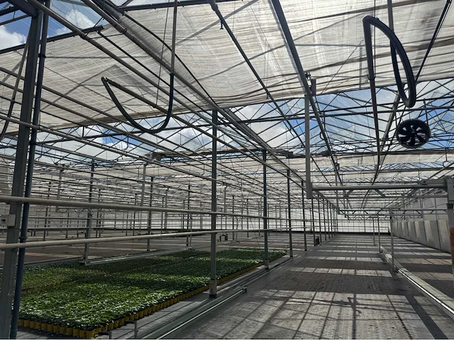 Compleet tuinbouw bedrijf met installaties (12.411 m2) - afbeelding 3 van  59