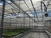 Compleet tuinbouw bedrijf met installaties (12.411 m2) - afbeelding 3 van  59