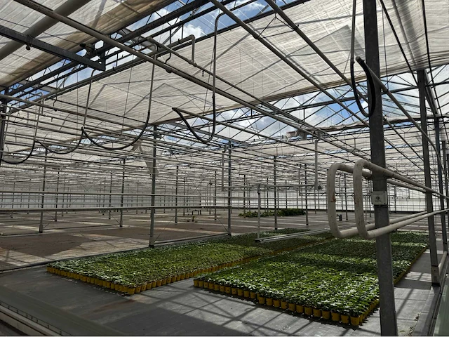 Compleet tuinbouw bedrijf met installaties (12.411 m2) - afbeelding 4 van  59