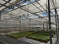 Compleet tuinbouw bedrijf met installaties (12.411 m2) - afbeelding 4 van  59