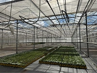 Compleet tuinbouw bedrijf met installaties (12.411 m2) - afbeelding 5 van  59