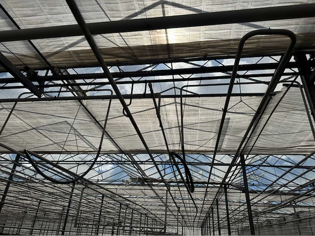 Compleet tuinbouw bedrijf met installaties (12.411 m2) - afbeelding 6 van  59