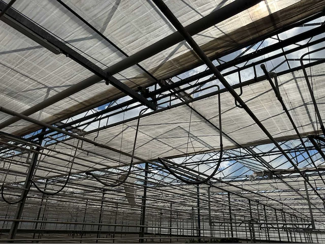 Compleet tuinbouw bedrijf met installaties (12.411 m2) - afbeelding 7 van  59