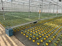 Compleet tuinbouw bedrijf met installaties (12.411 m2) - afbeelding 8 van  59