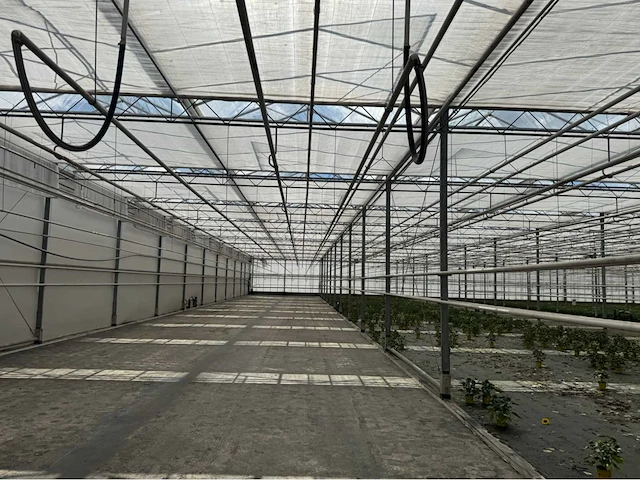 Compleet tuinbouw bedrijf met installaties (12.411 m2) - afbeelding 9 van  59