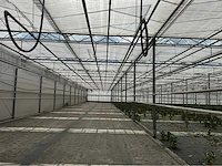 Compleet tuinbouw bedrijf met installaties (12.411 m2) - afbeelding 9 van  59