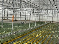 Compleet tuinbouw bedrijf met installaties (12.411 m2) - afbeelding 10 van  59