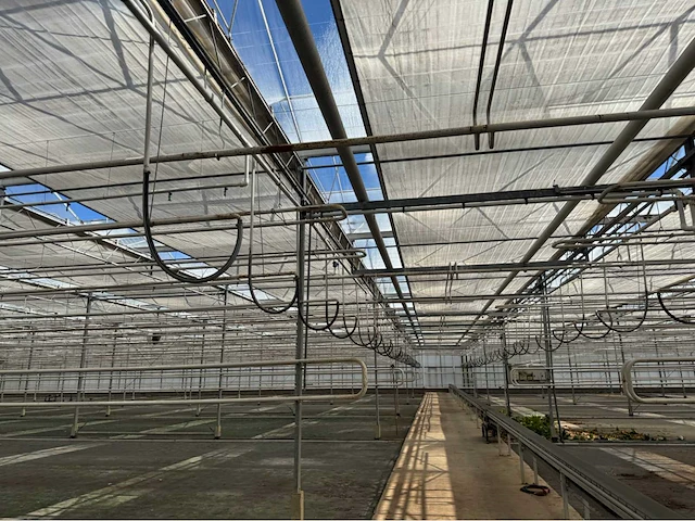 Compleet tuinbouw bedrijf met installaties (12.411 m2) - afbeelding 11 van  59