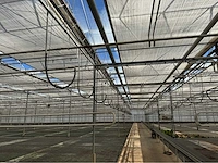 Compleet tuinbouw bedrijf met installaties (12.411 m2) - afbeelding 11 van  59