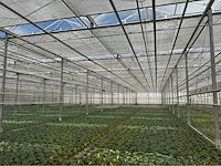 Compleet tuinbouw bedrijf met installaties (12.411 m2)