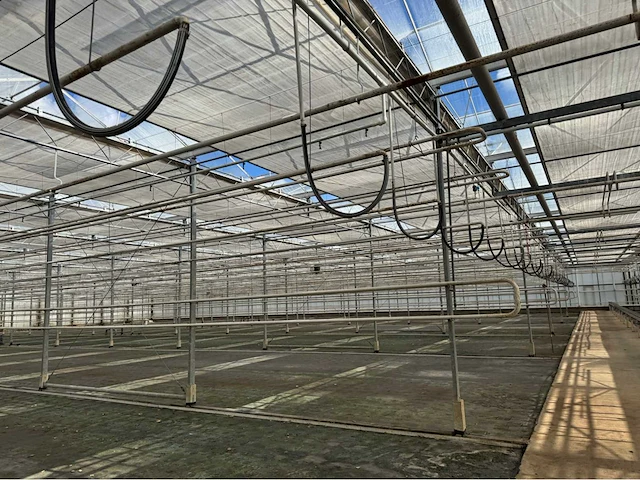 Compleet tuinbouw bedrijf met installaties (12.411 m2) - afbeelding 13 van  59