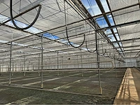 Compleet tuinbouw bedrijf met installaties (12.411 m2) - afbeelding 13 van  59