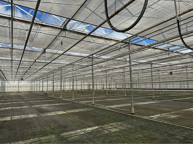 Compleet tuinbouw bedrijf met installaties (12.411 m2) - afbeelding 15 van  59