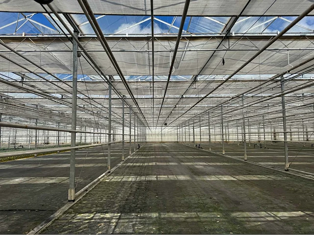 Compleet tuinbouw bedrijf met installaties (12.411 m2) - afbeelding 16 van  59