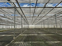 Compleet tuinbouw bedrijf met installaties (12.411 m2) - afbeelding 16 van  59