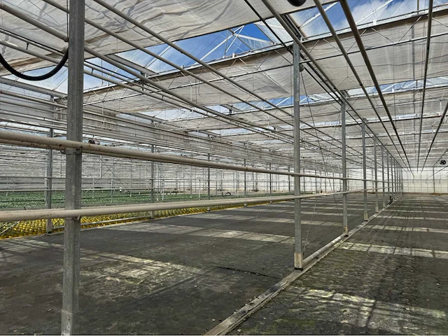 Compleet tuinbouw bedrijf met installaties (12.411 m2) - afbeelding 17 van  59