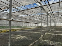 Compleet tuinbouw bedrijf met installaties (12.411 m2) - afbeelding 17 van  59