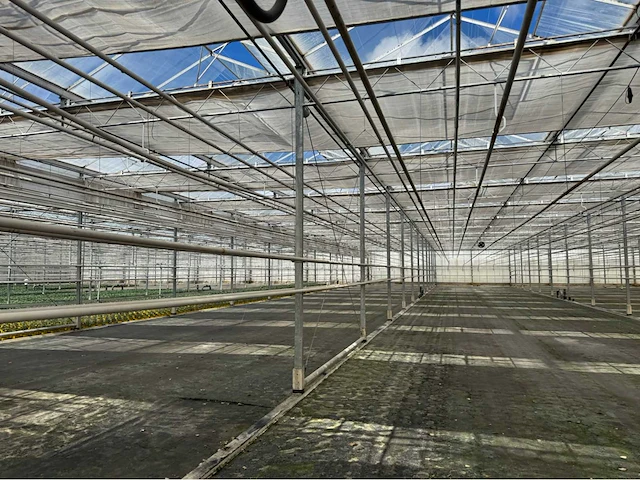 Compleet tuinbouw bedrijf met installaties (12.411 m2) - afbeelding 18 van  59