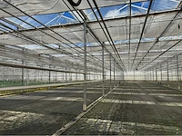 Compleet tuinbouw bedrijf met installaties (12.411 m2) - afbeelding 18 van  59