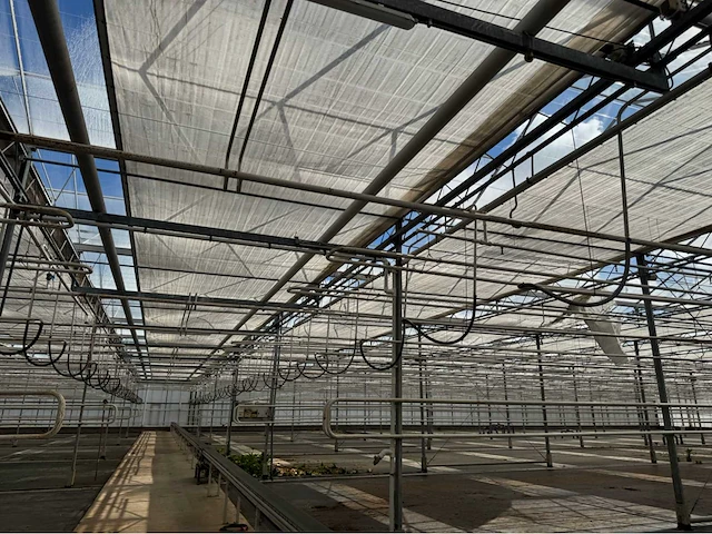 Compleet tuinbouw bedrijf met installaties (12.411 m2) - afbeelding 19 van  59