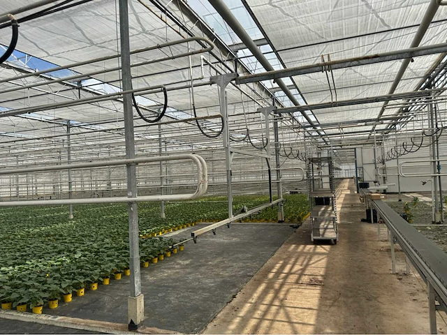 Compleet tuinbouw bedrijf met installaties (12.411 m2) - afbeelding 20 van  59