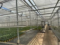 Compleet tuinbouw bedrijf met installaties (12.411 m2) - afbeelding 20 van  59