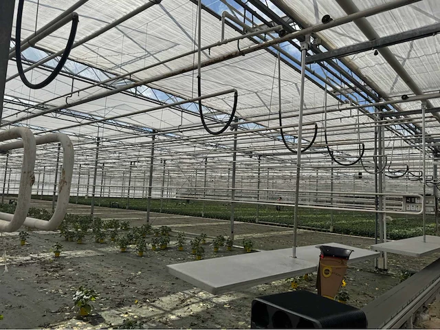 Compleet tuinbouw bedrijf met installaties (12.411 m2) - afbeelding 12 van  59