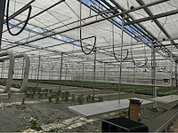 Compleet tuinbouw bedrijf met installaties (12.411 m2) - afbeelding 12 van  59