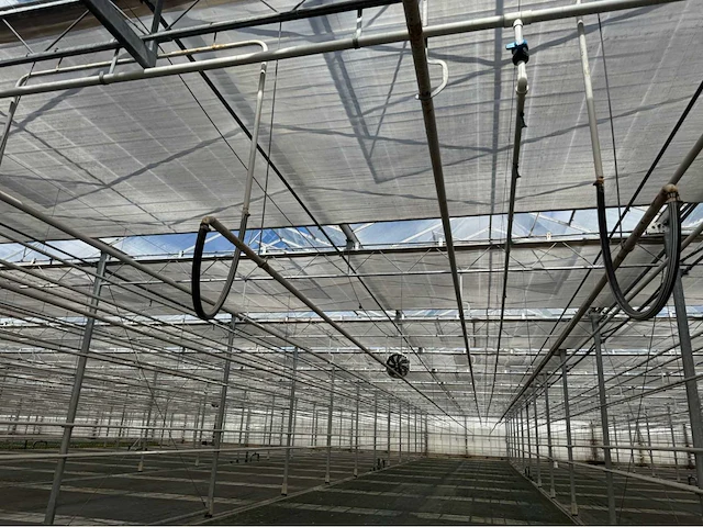 Compleet tuinbouw bedrijf met installaties (12.411 m2) - afbeelding 34 van  59