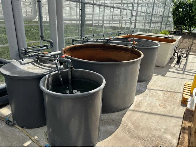 Compleet tuinbouw bedrijf met installaties (12.411 m2) - afbeelding 49 van  59