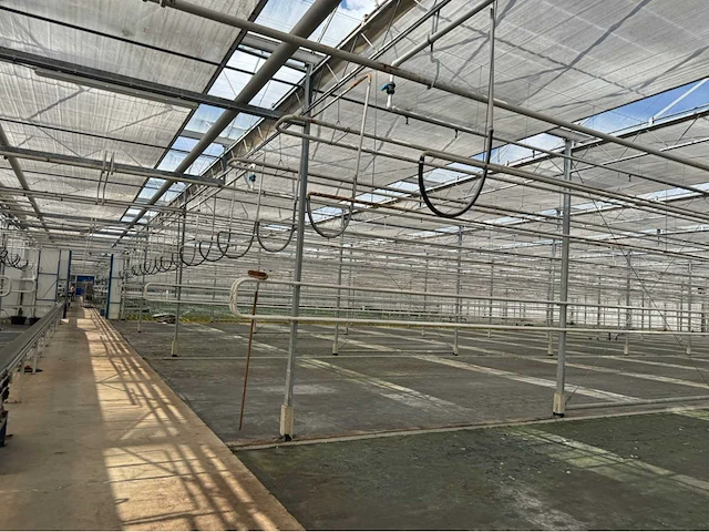 Compleet tuinbouw bedrijf met installaties (12.411 m2) - afbeelding 45 van  59