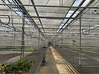 Compleet tuinbouw bedrijf met installaties (12.411 m2) - afbeelding 56 van  59