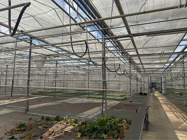 Compleet tuinbouw bedrijf met installaties (12.411 m2) - afbeelding 57 van  59