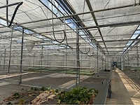 Compleet tuinbouw bedrijf met installaties (12.411 m2) - afbeelding 57 van  59