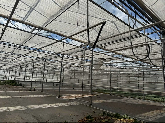 Compleet tuinbouw bedrijf met installaties (12.411 m2) - afbeelding 58 van  59