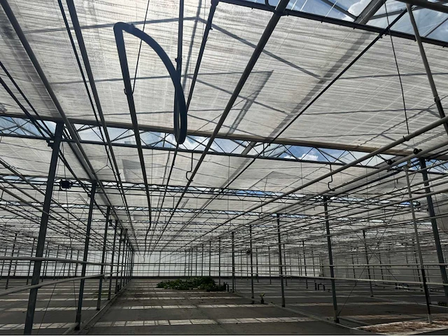 Compleet tuinbouw bedrijf met installaties (12.411 m2) - afbeelding 59 van  59