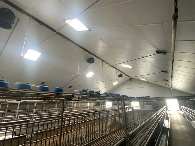 Complete prefab stal met zonnepaneel installatie - afbeelding 5 van  47