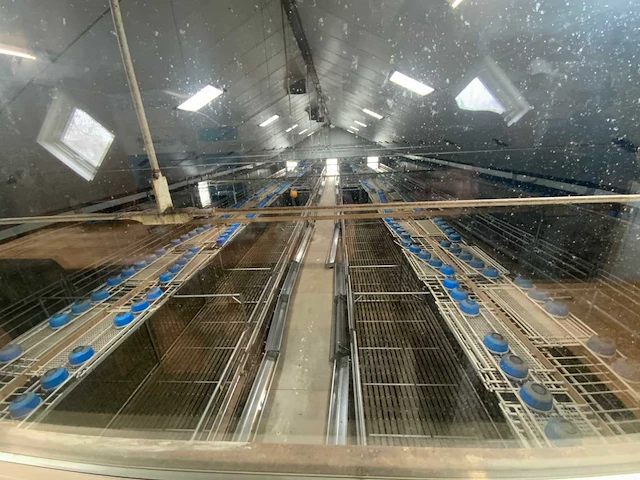 Complete prefab stal met zonnepaneel installatie - afbeelding 46 van  47