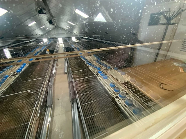 Complete prefab stal met zonnepaneel installatie - afbeelding 47 van  47