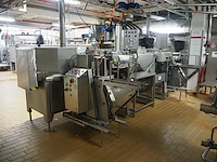 Complete processing and packaging line for ice cream sticks, among others mini magnums - afbeelding 1 van  100