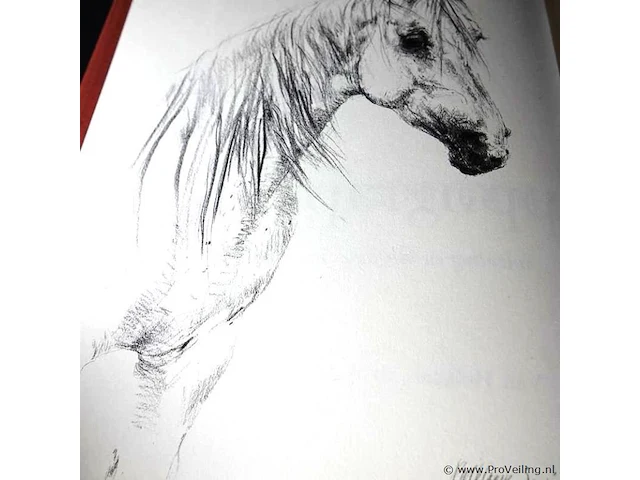 Concours hippographique - afbeelding 2 van  5