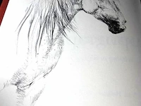 Concours hippographique - afbeelding 2 van  5