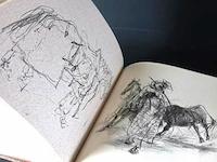 Concours hippographique - afbeelding 3 van  5